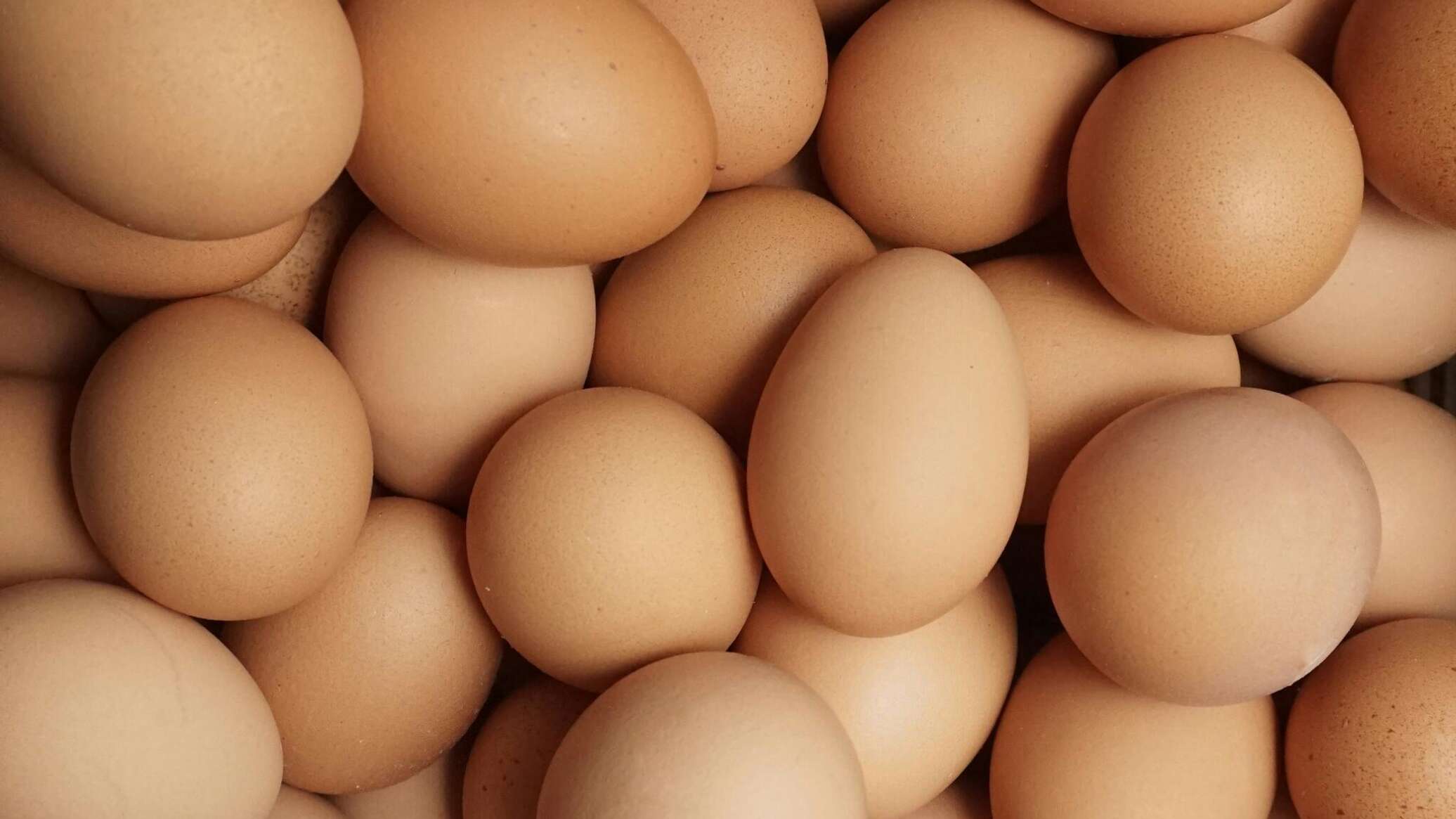 Яйца под запретом: Казахстан на полгода отказывает в ввозе всем, в том числе странам ЕАЭС 