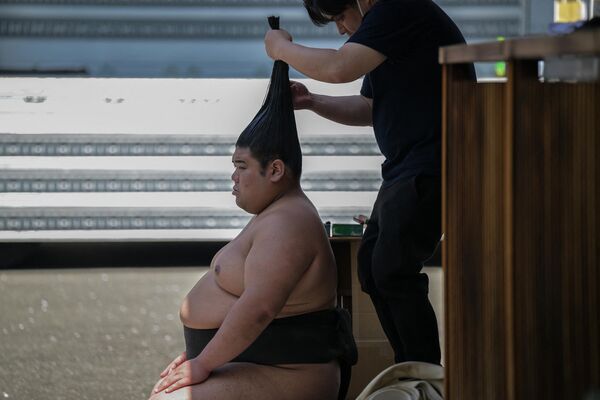 Горилла-долгожитель и хвост сумоиста: самые забавные фото недели